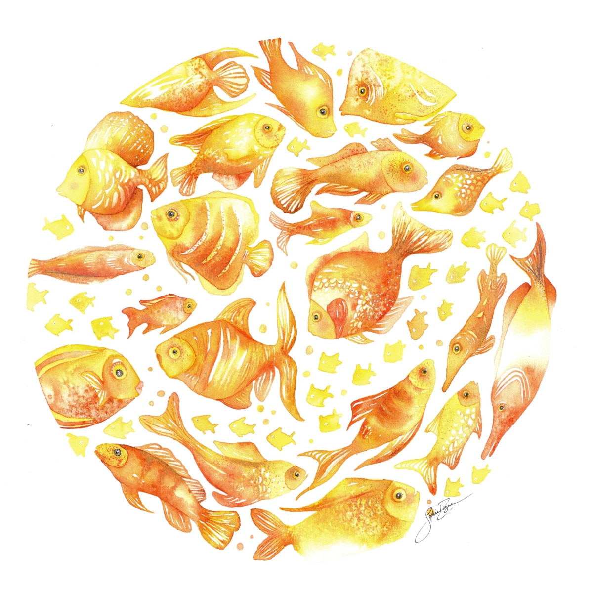 La ronde des poissons dorés