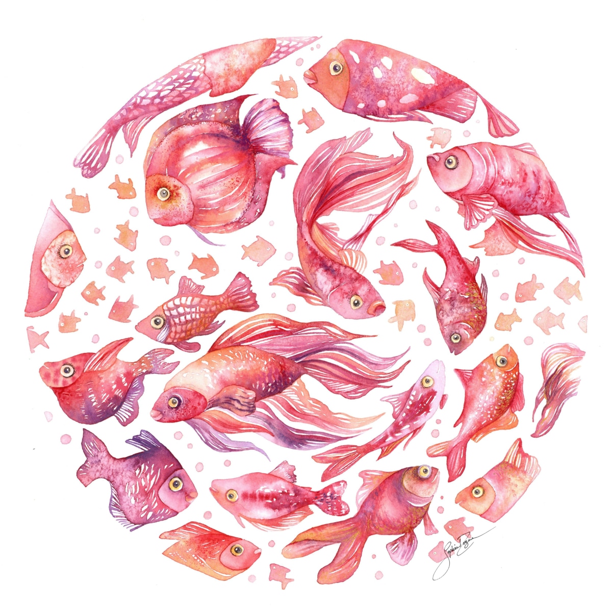 La ronde des poissons rouges