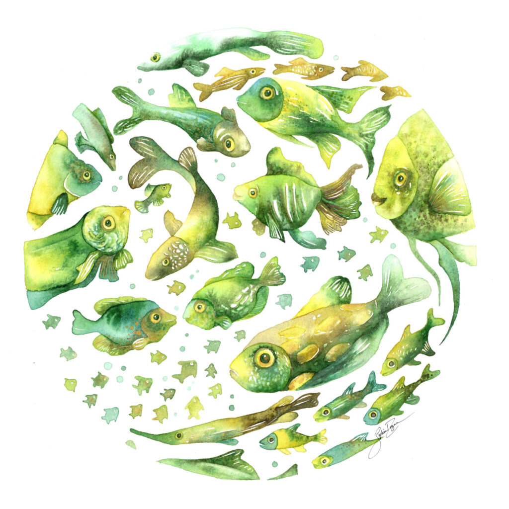 La ronde des poissons verts