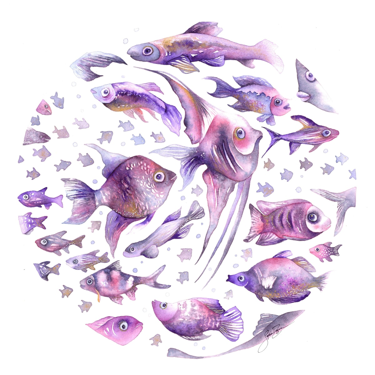 La ronde des poissons violets