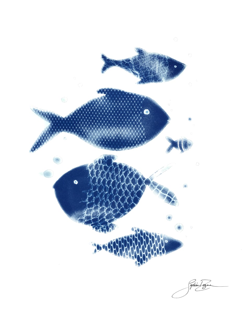 Filets de poissons 1