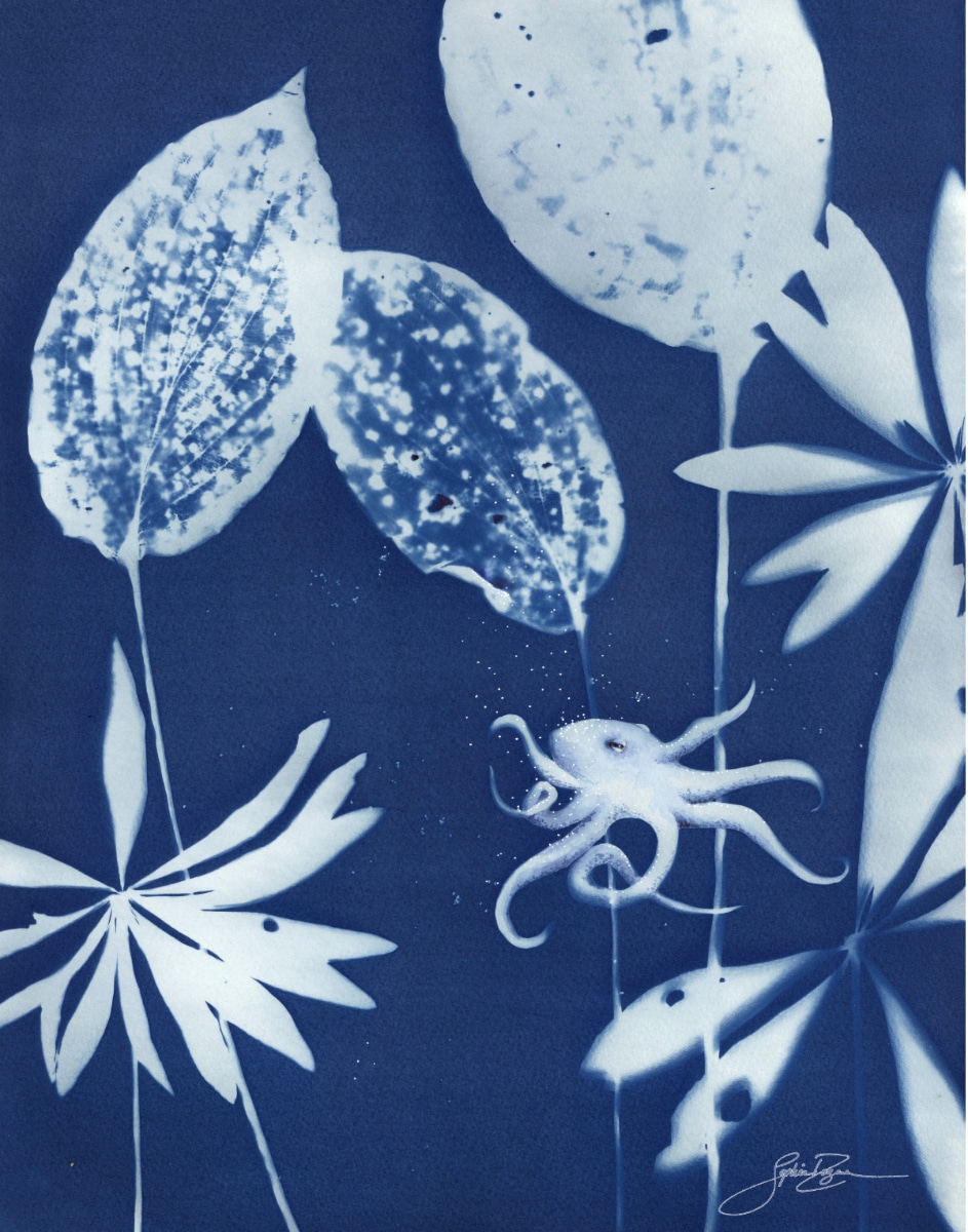 Le sanctuaire de la pieuvre