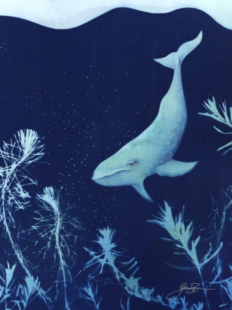 Plongée sous-marine