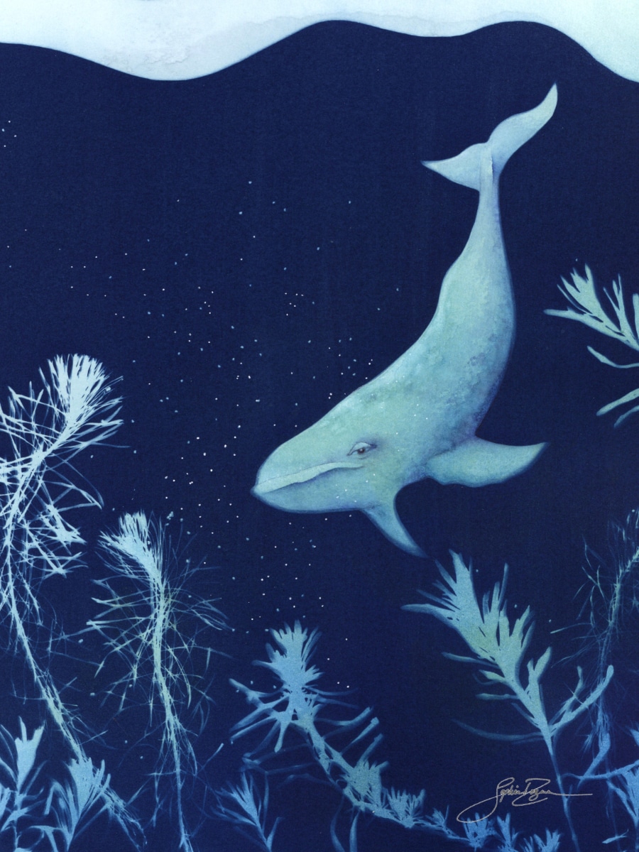 Plongée sous-marine