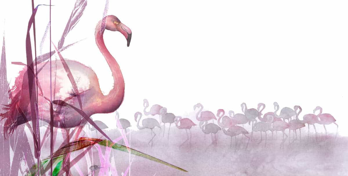Ferdinand le flamant