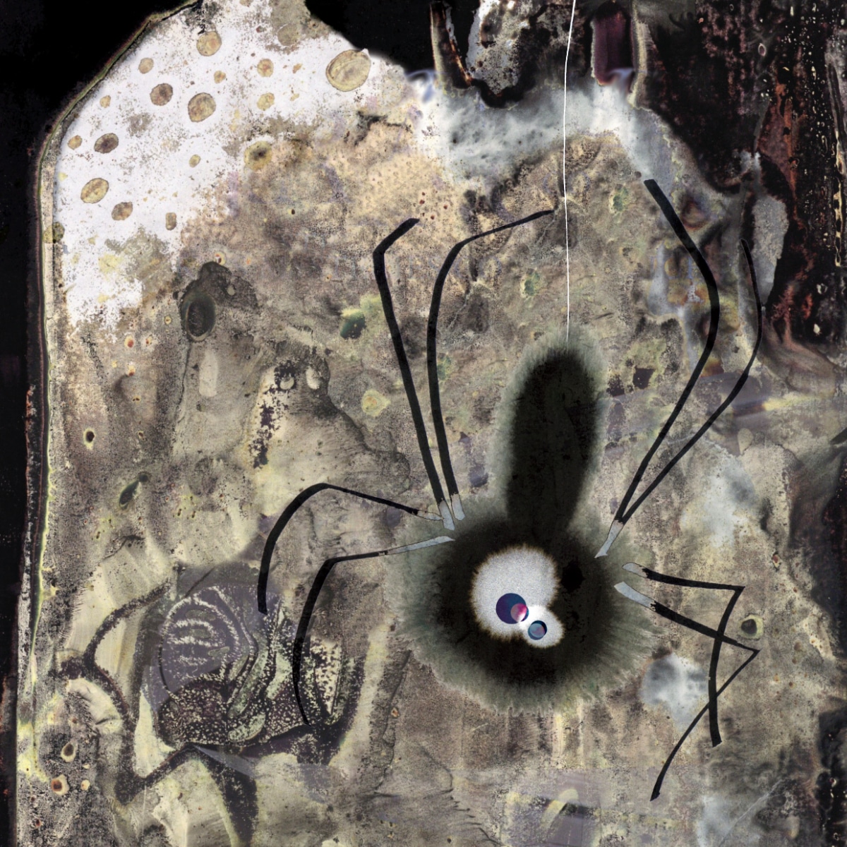 L’Ombre et le hibou page 21