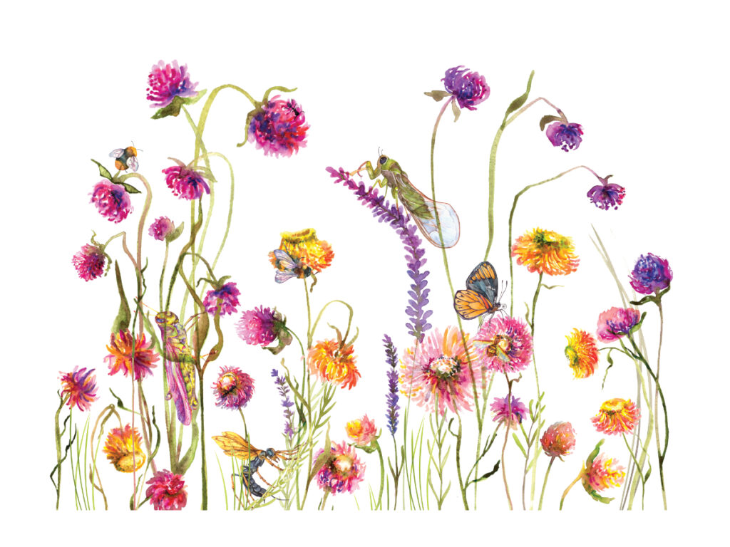 La cigale et la fourmi