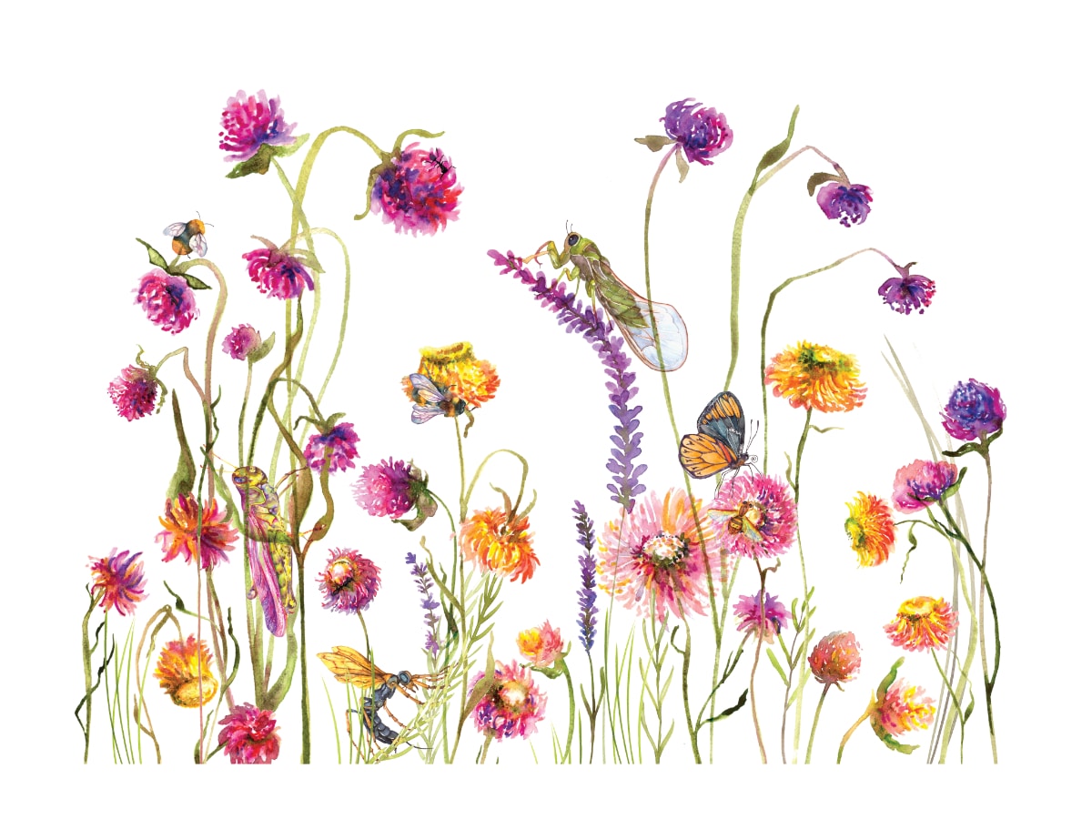 La cigale et la fourmi