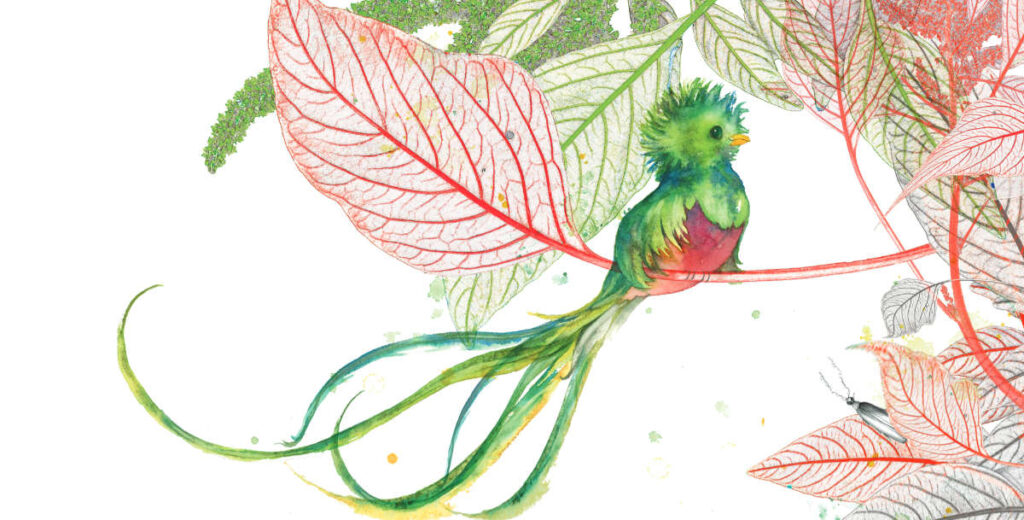 Quasimodo le quetzal