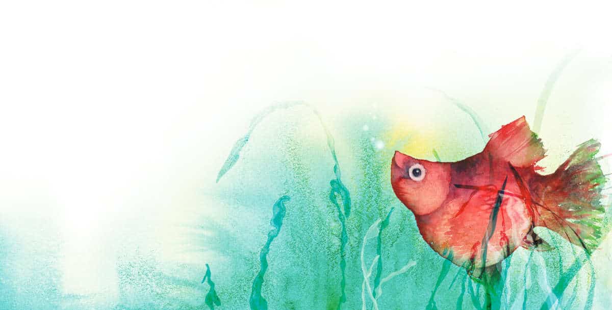 Xavier le xiphophore