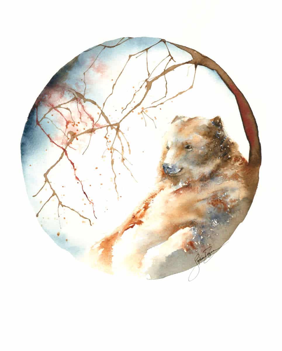 Affiche L'ours et la fôret