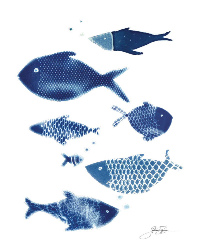 Affiche Filet de poissons