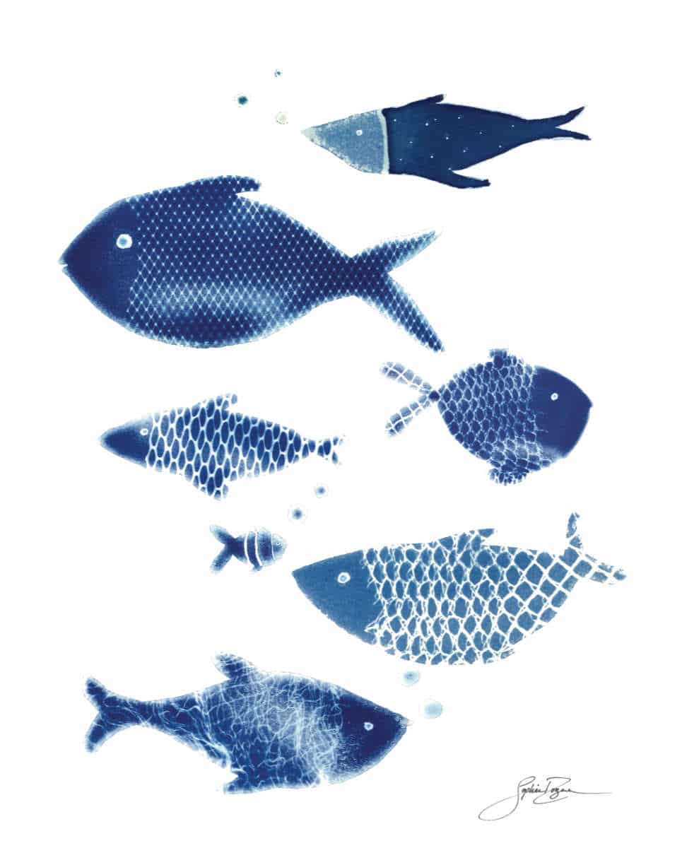 Affiche Filet de poissons