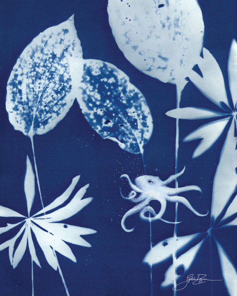 Afficge Le sanctuaire de la pieuvre