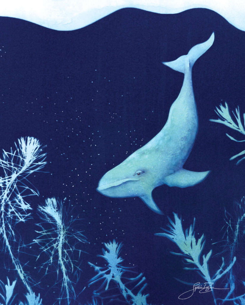 Affiche Plongée sous-Marine