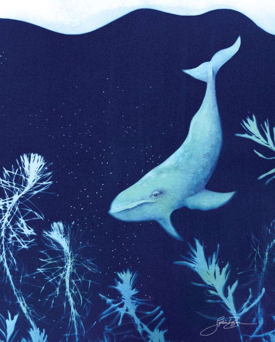 Affiche Plongée sous-Marine