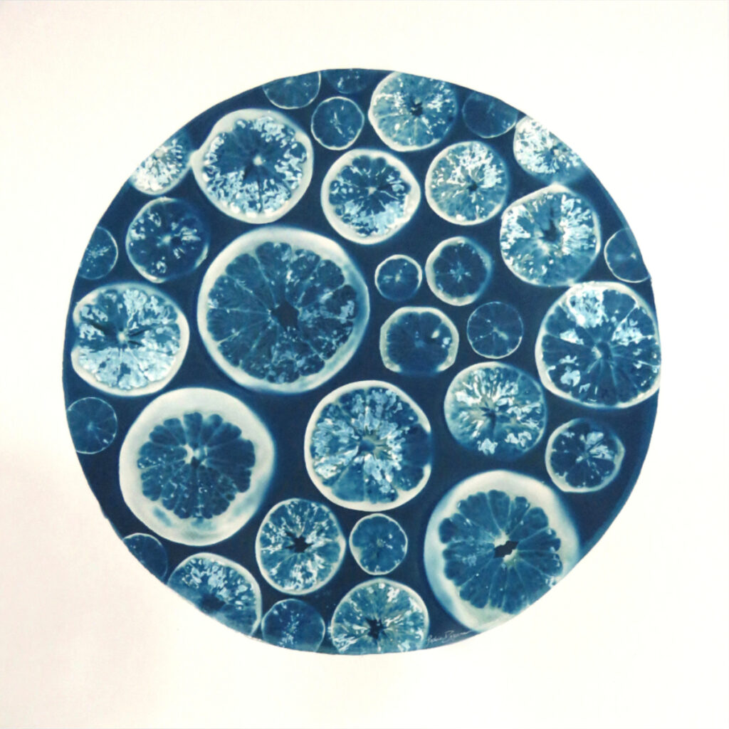 Agrumes — Citrus Fusion