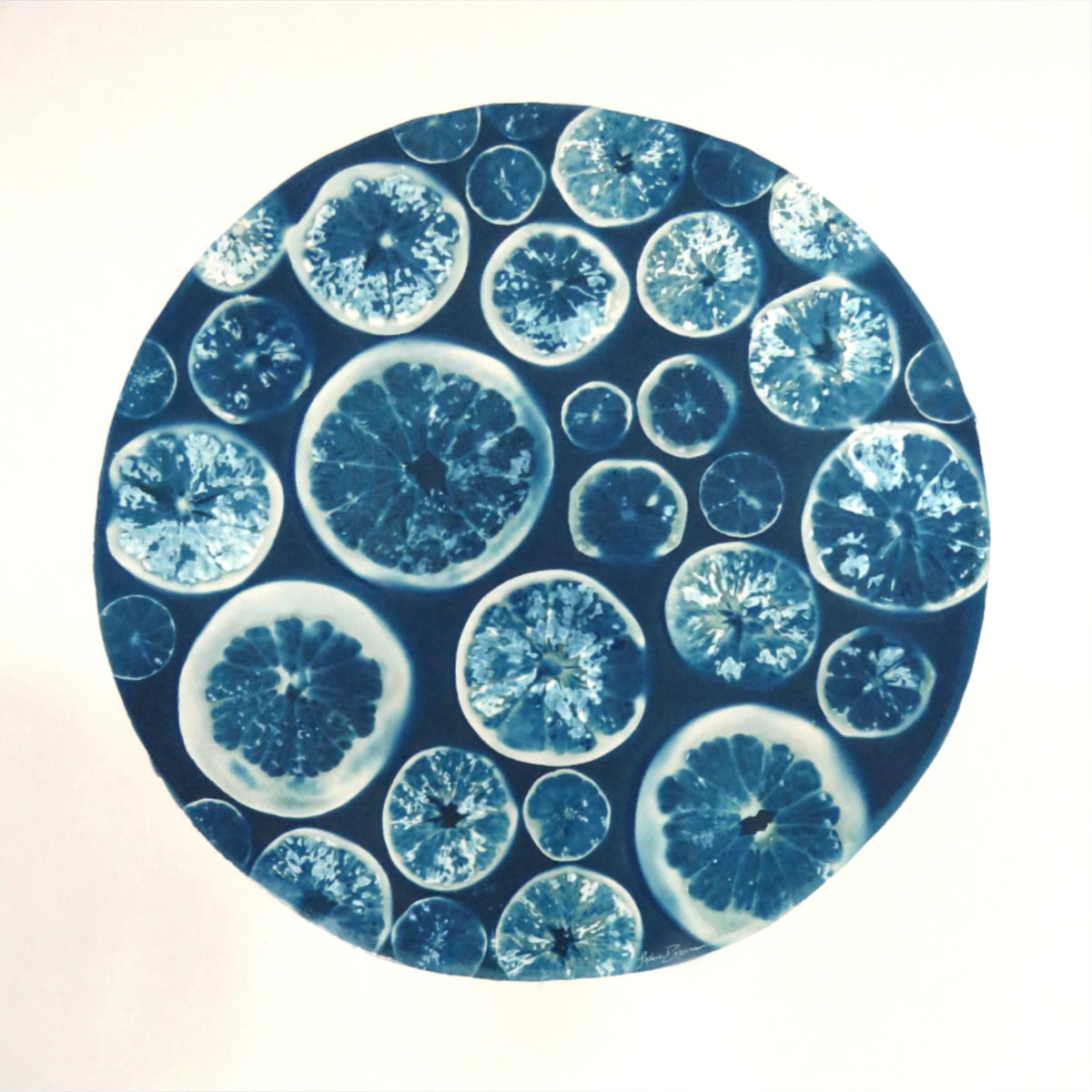 Agrumes — Citrus Fusion