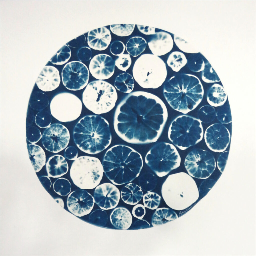 Agrumes — Citrus Tonic