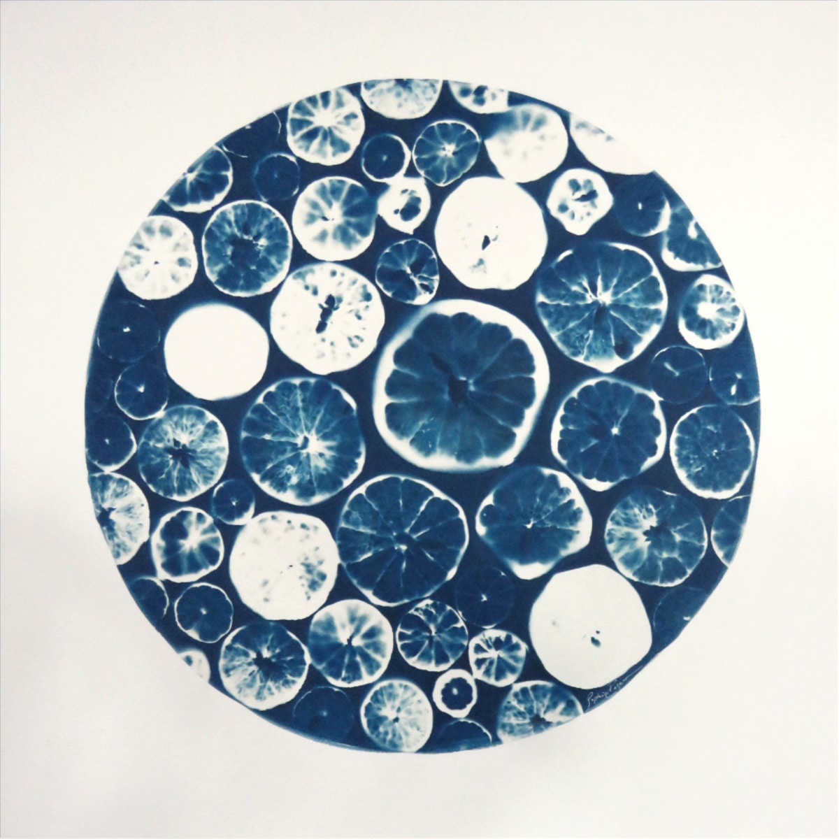 Agrumes — Citrus Tonic