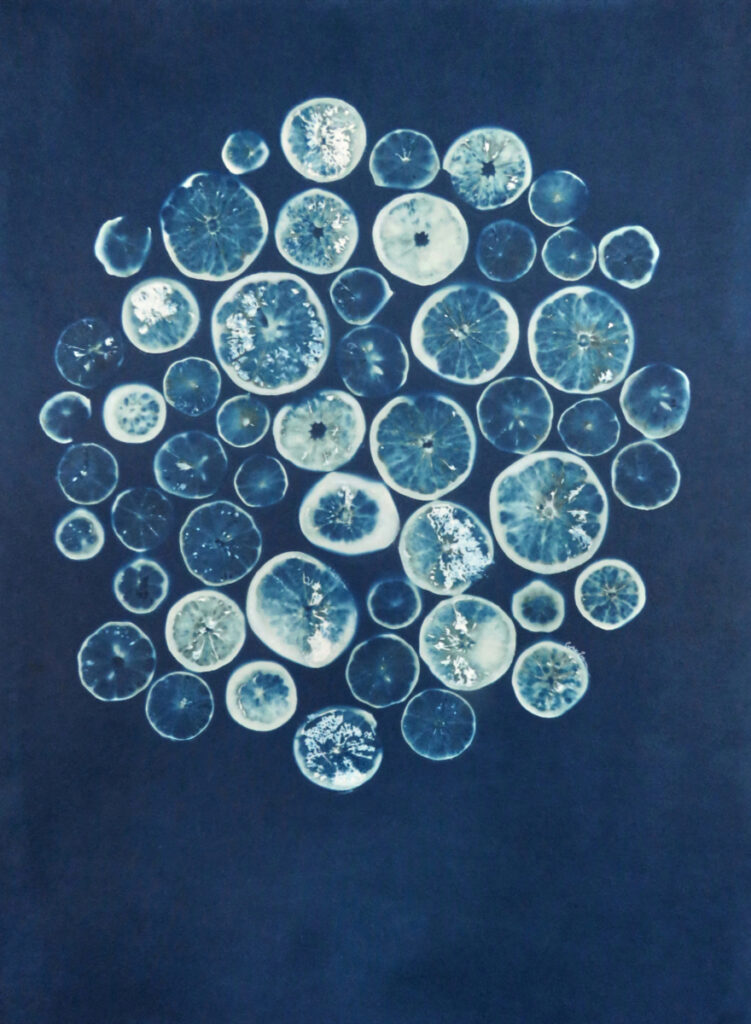 Agrumes — Citrus Vibration