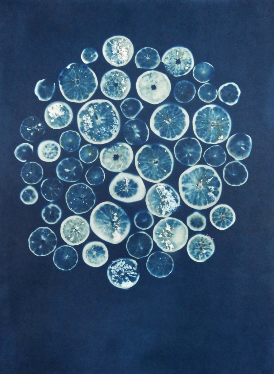 Agrumes — Citrus Vibration