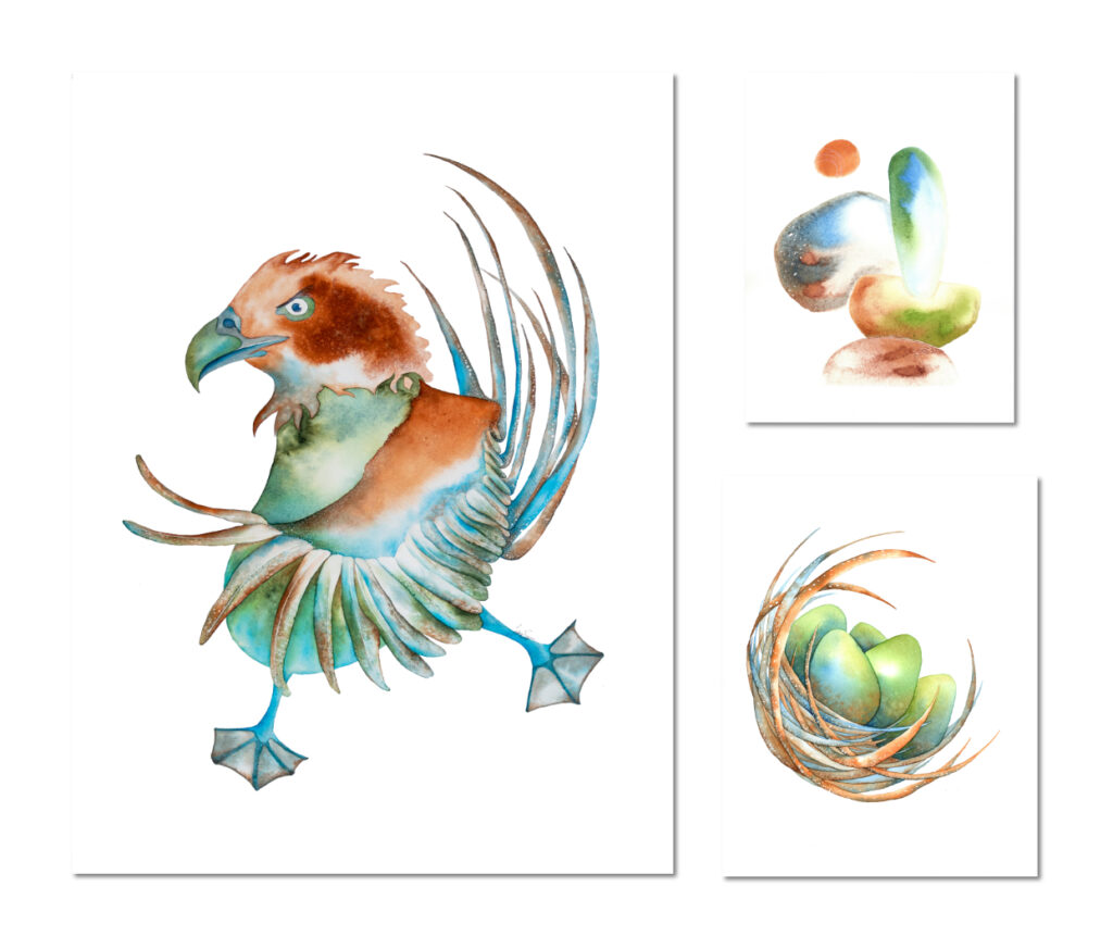 Drôles d'oiseaux Aigle valeureux - Aquila fortis