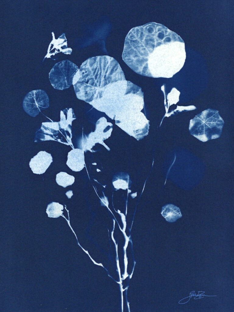 Capucine — Bouquet I