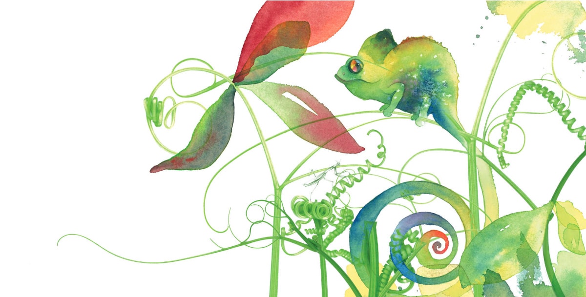 Carlito le caméléon