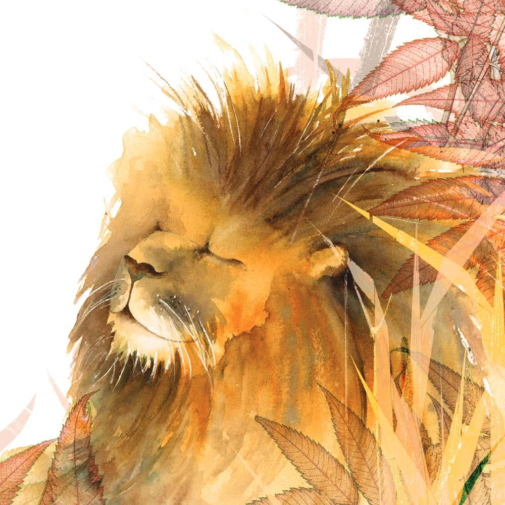 Carte Léonard le lion