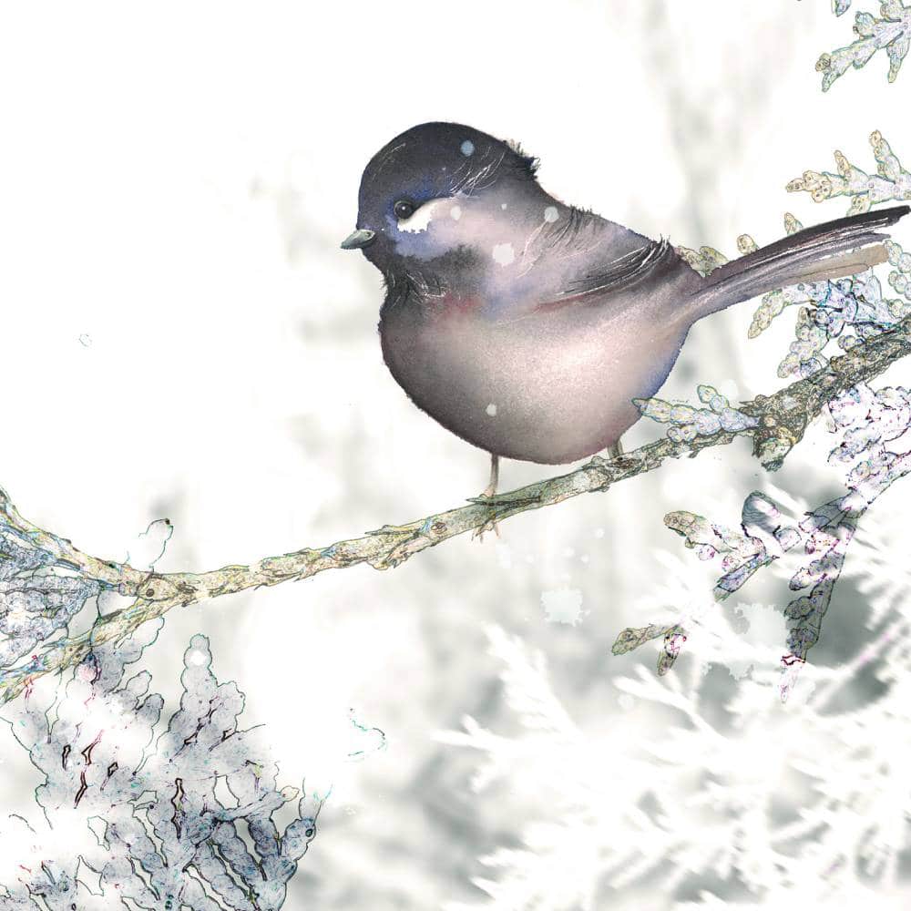 Carte Myriam la mésange