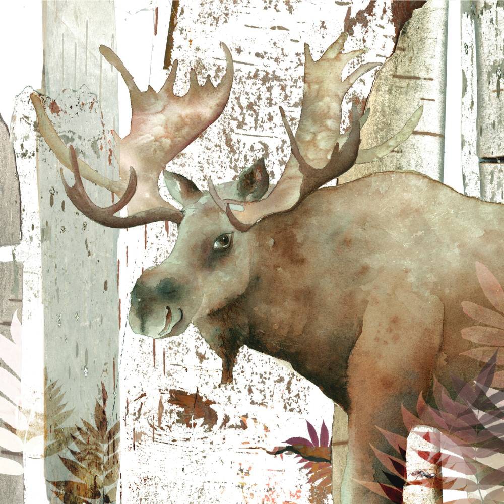 Carte Octave l'orignal