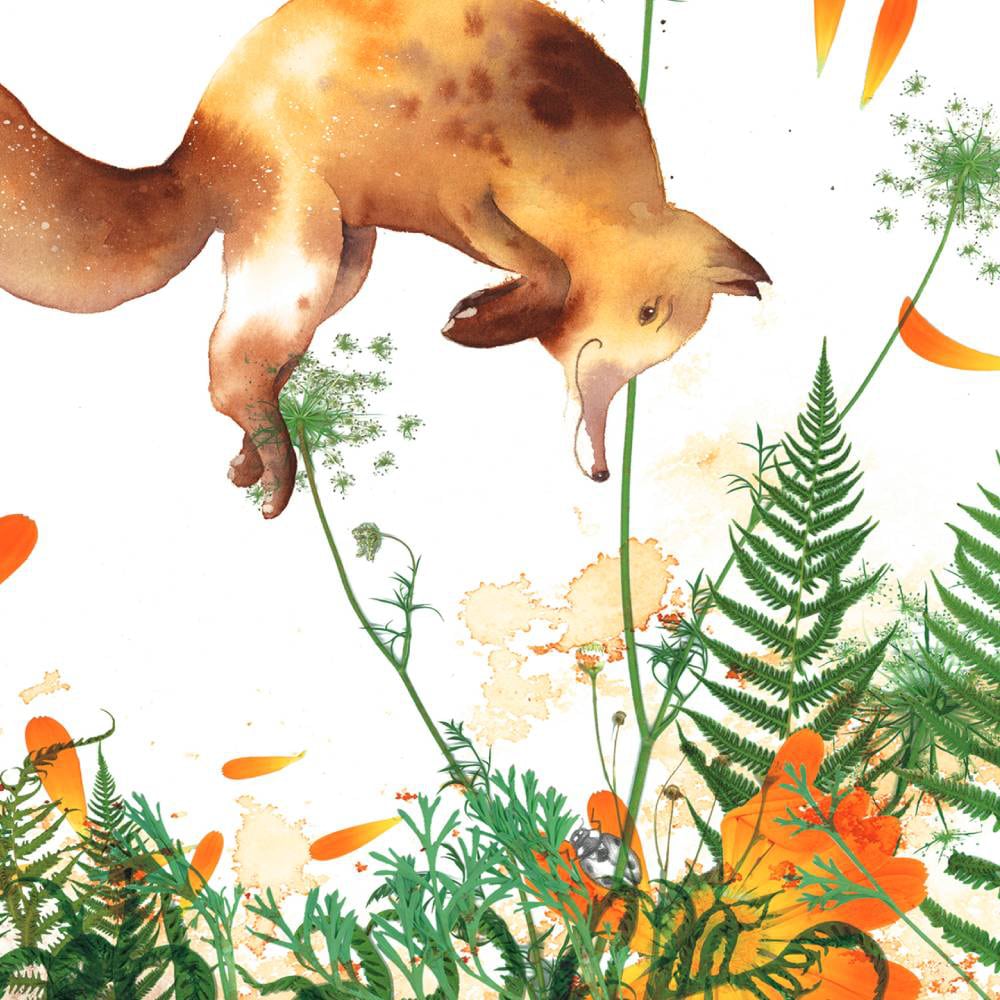 Carte Rémi le renard