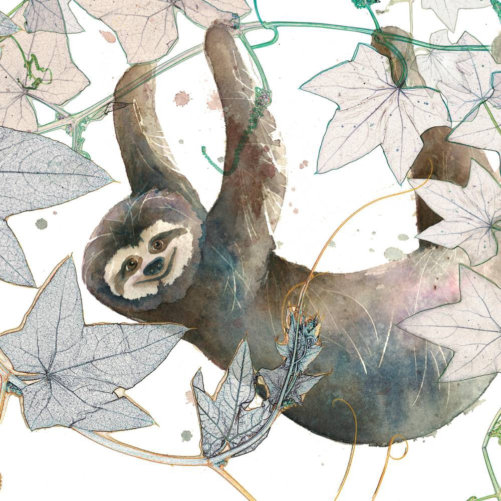 Carte Umberto l'unau