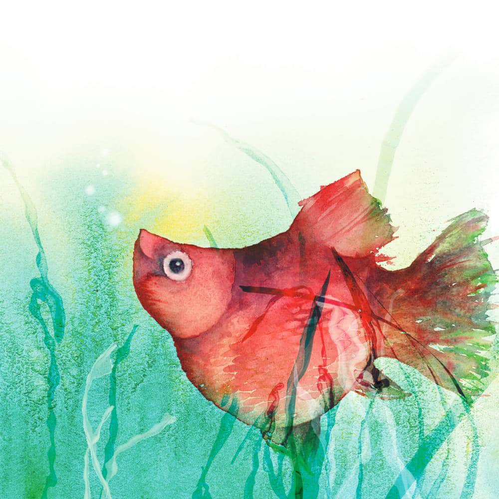 Carte Xavier le xiphophore