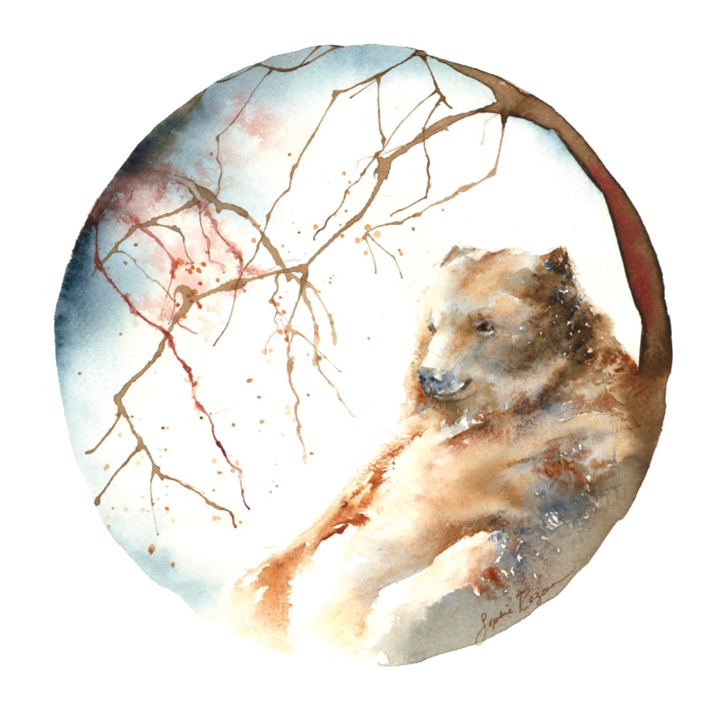 Carte L'ours et la forêt