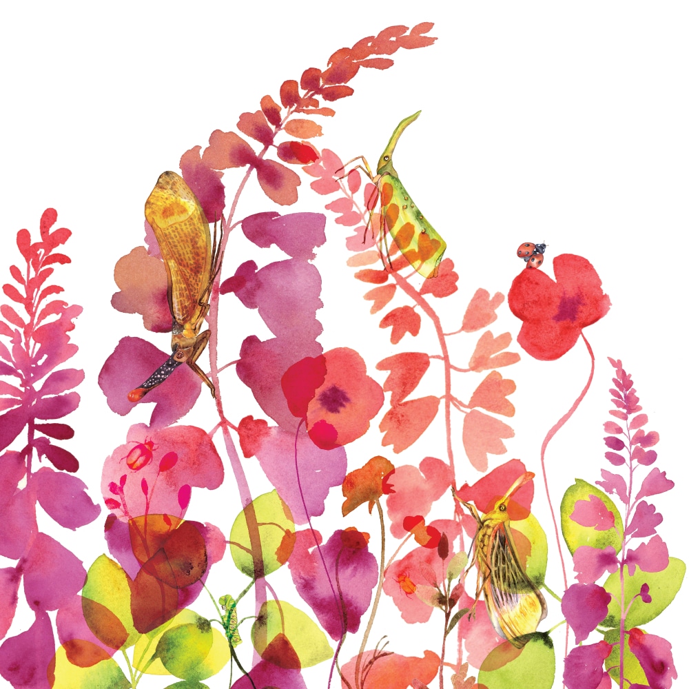 Carte Fulgores et cie