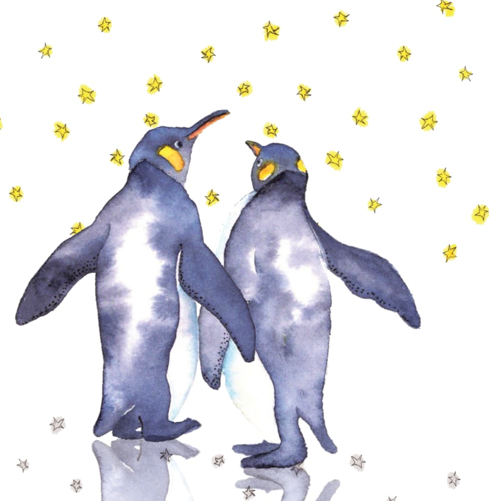 Carte La vie devant soi