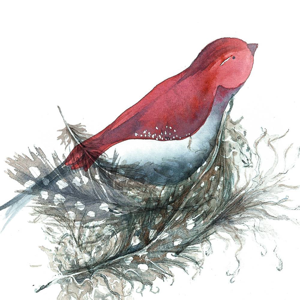 Carte L'oiseau rouge