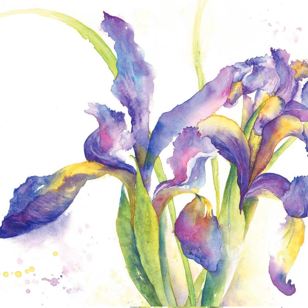 Carte Iris versicolore