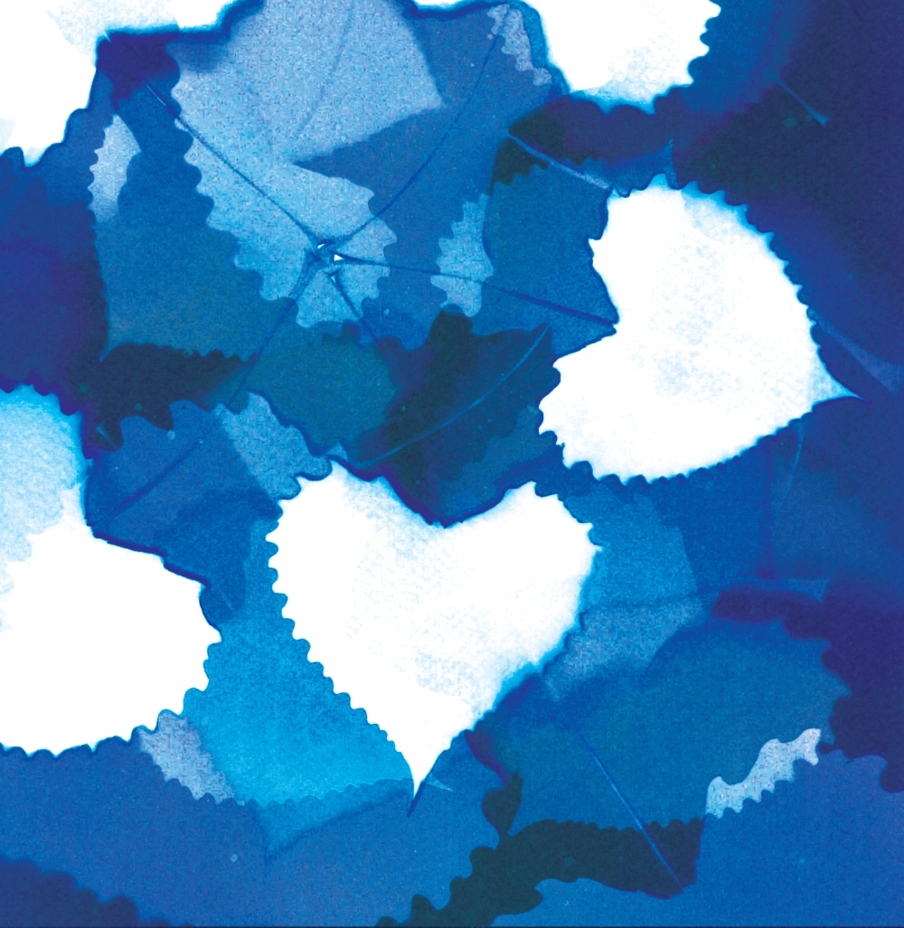 Carte Le cœur léger