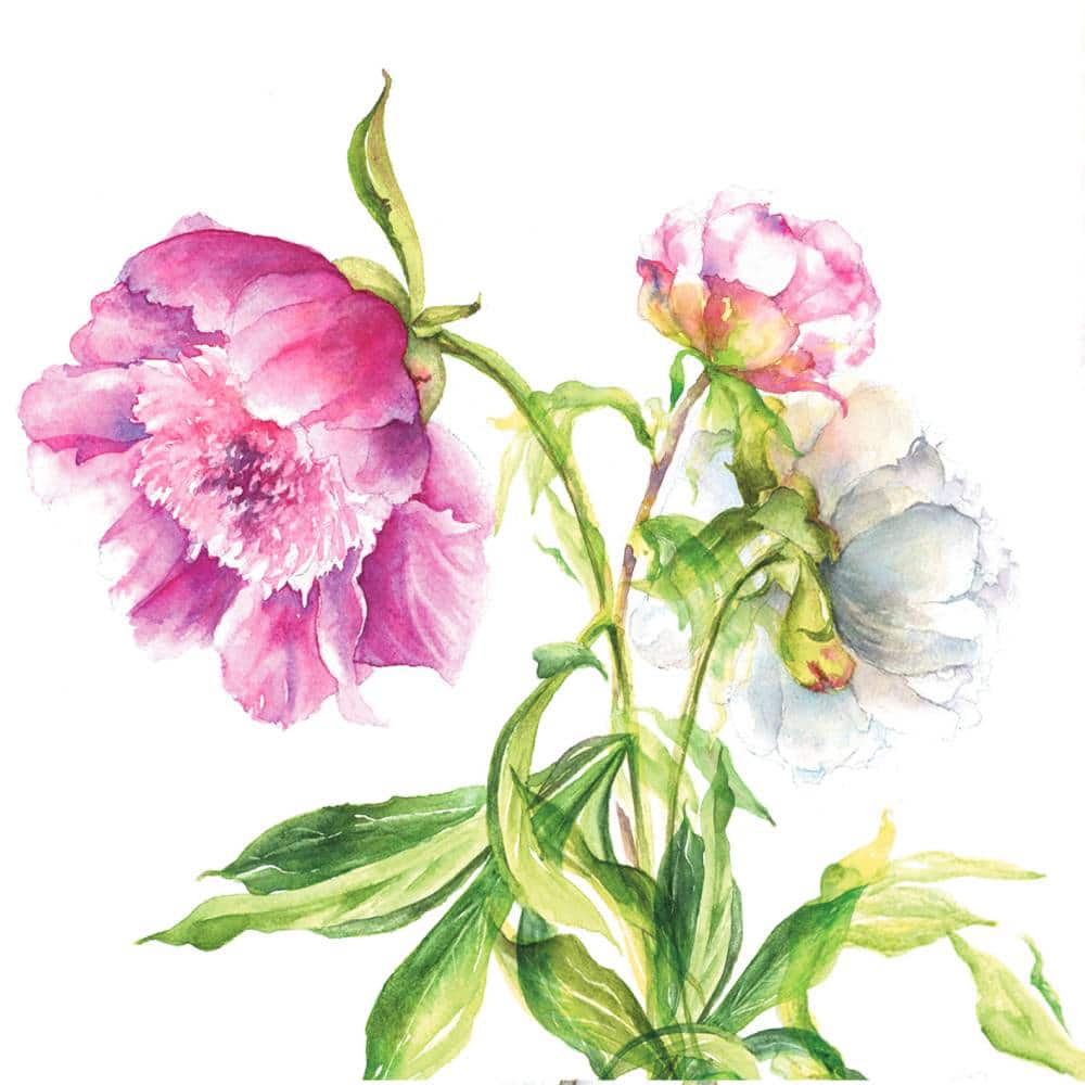 Carte Trois pivoines