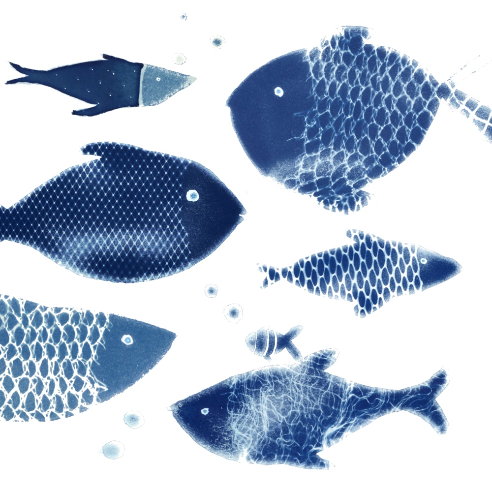 Carte Filets de poissons