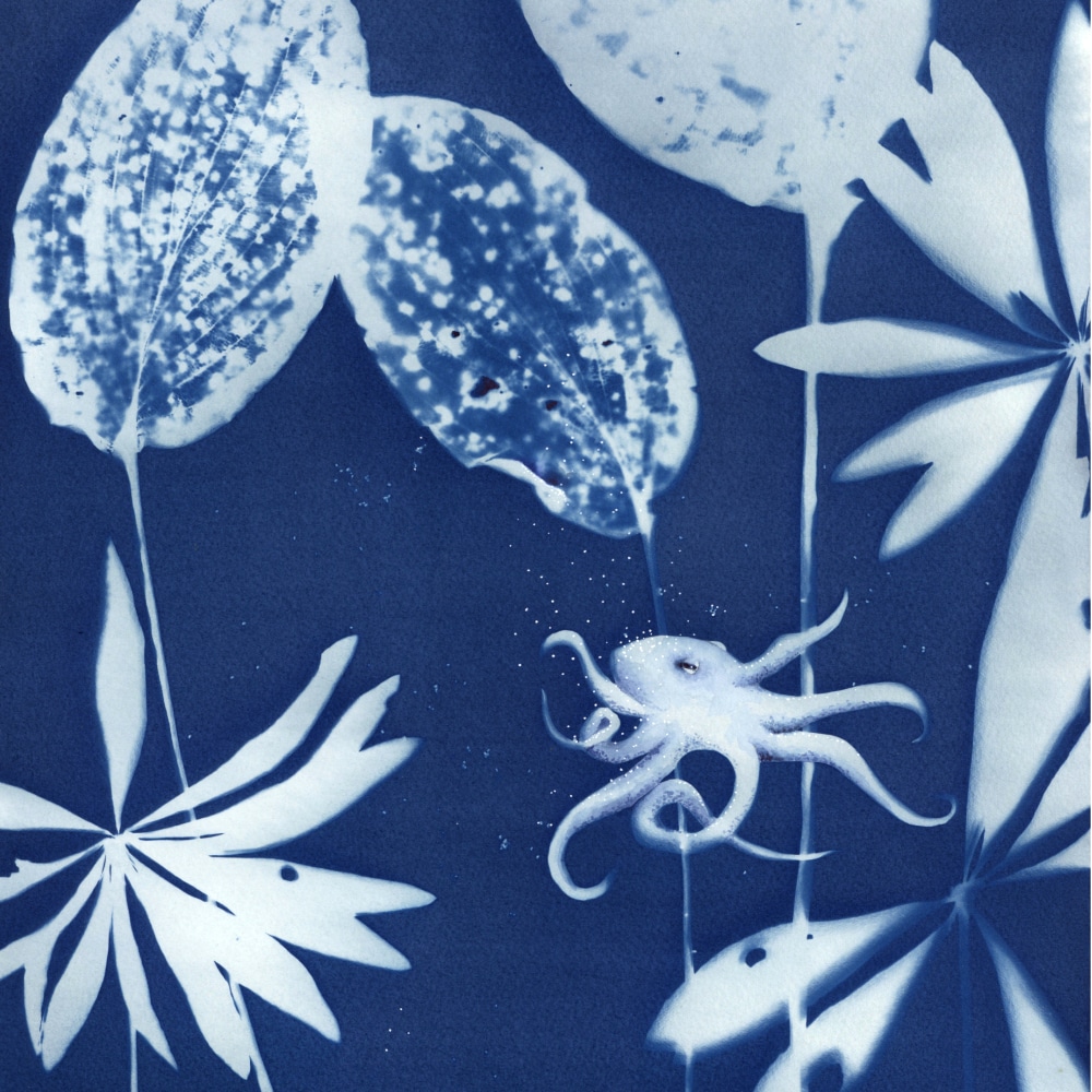 Carte Le sanctuaire de la pieuvre