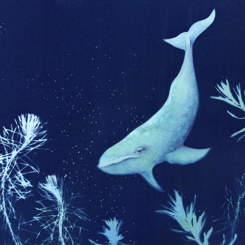 Carte Plongée sous-marine