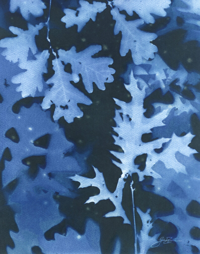 Chêne — Nocturne II