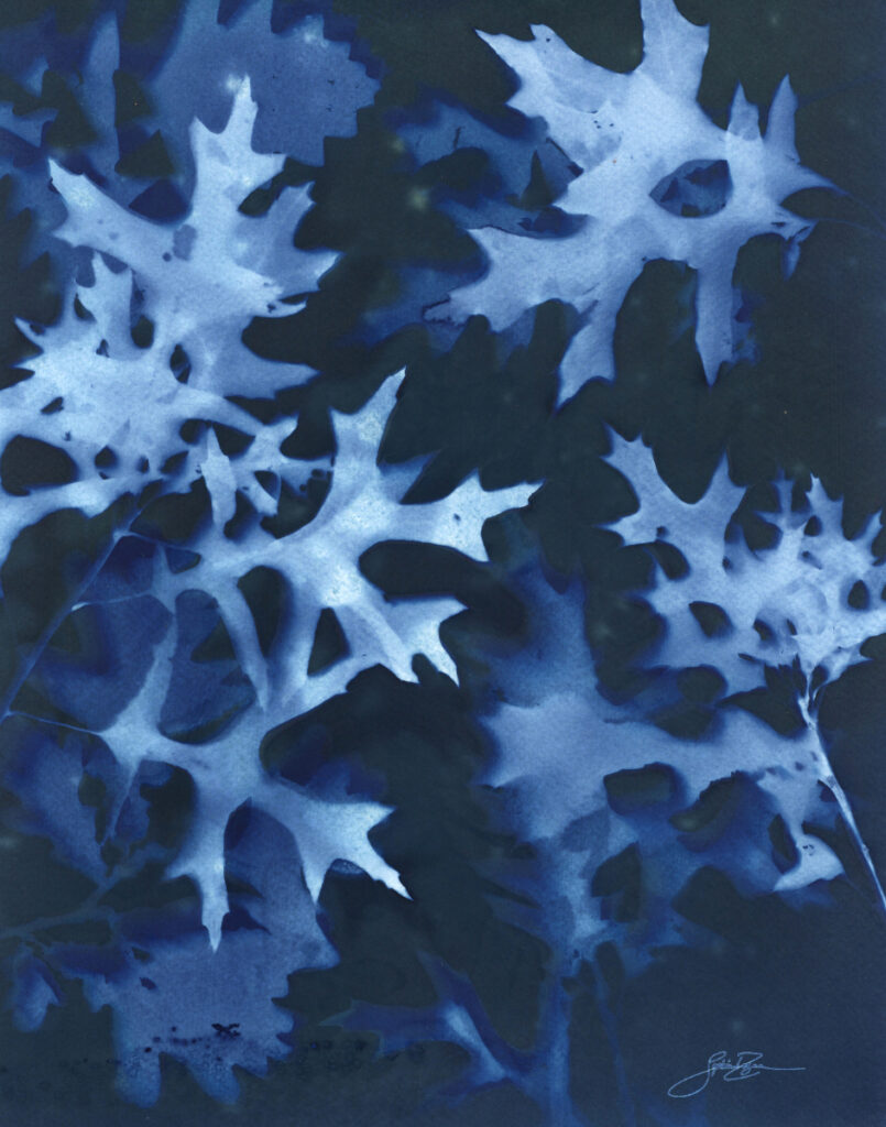 Chêne — Nocturne III