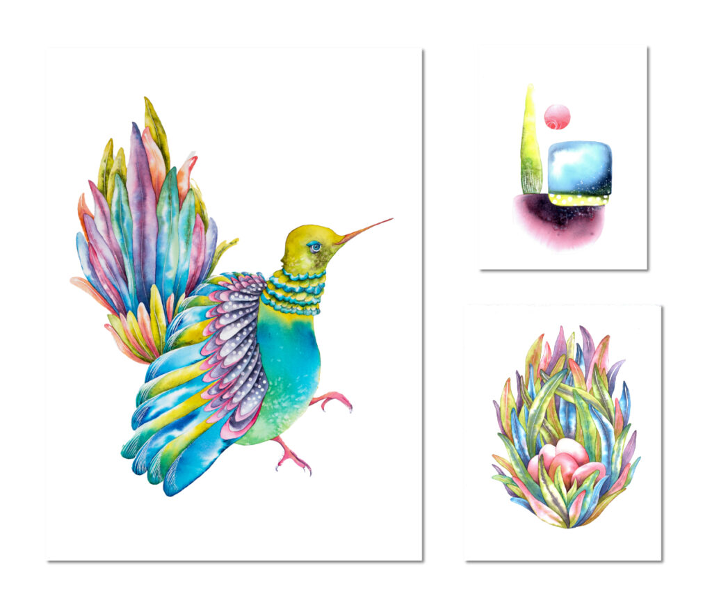 Drôles d'oiseaux Colibri charmant - Trochilus jucundus