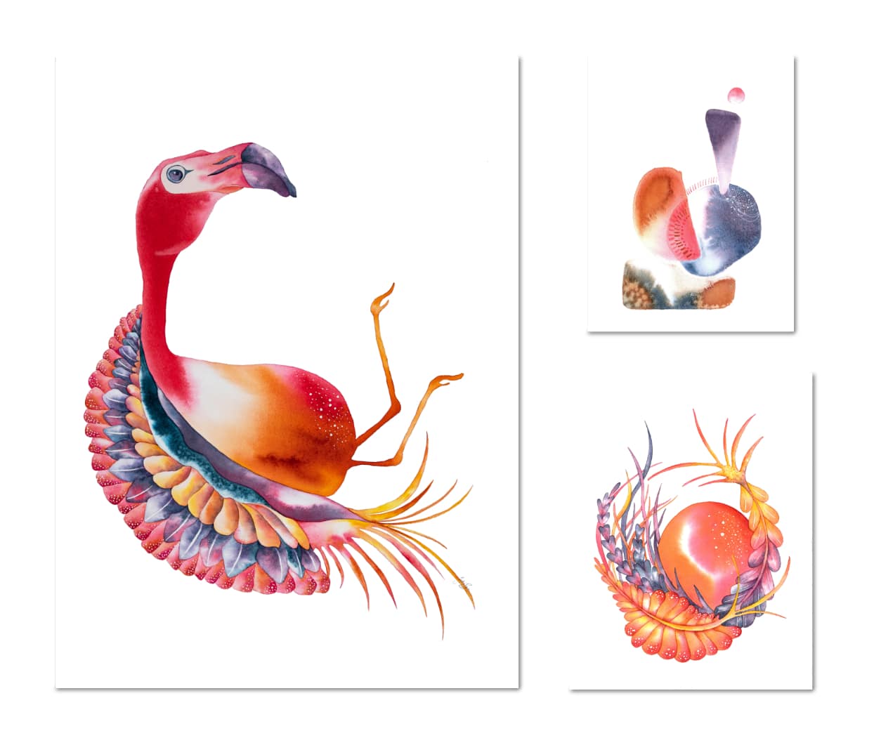 Drôles d'oiseaux Flamant détendu - Phoenicopterus remissus