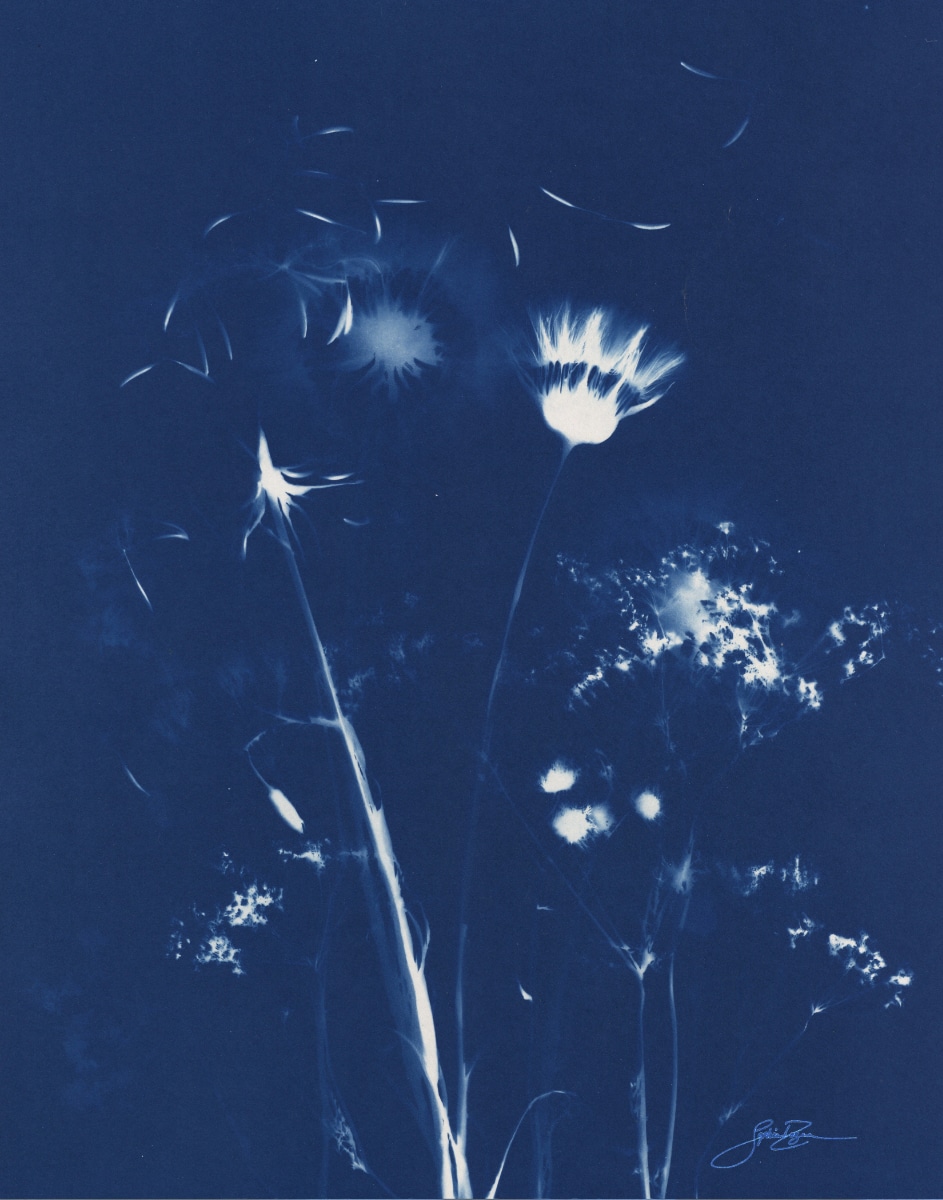 Fleurs des champs — Murmure II